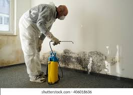 Why You Should Choose Our Mold Remediation Services in East Pittsburgh, PA